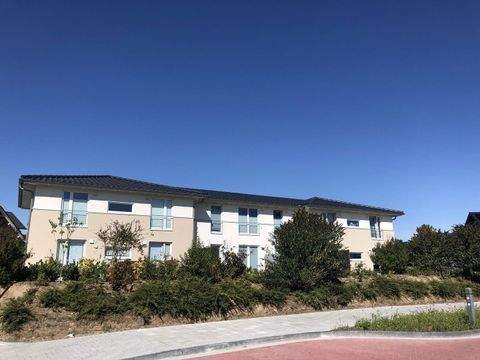 Stade Wohnungen, Stade Wohnung mieten