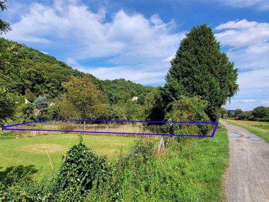 Grünland mit Obstbäumen