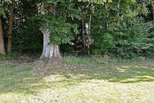 Zugang zum Bootsanleger