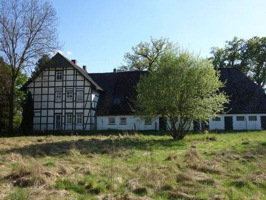 Blick von der Pferdekoppel