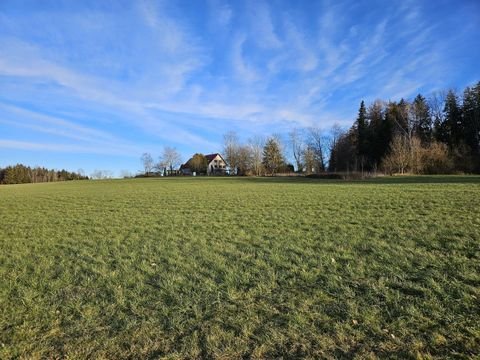 Niederrieden Häuser, Niederrieden Haus kaufen