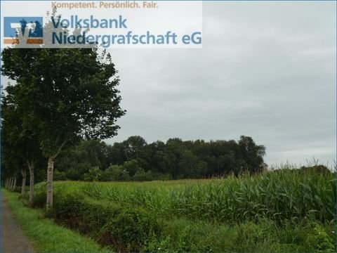 Georgsdorf Bauernhöfe, Landwirtschaft, Georgsdorf Forstwirtschaft