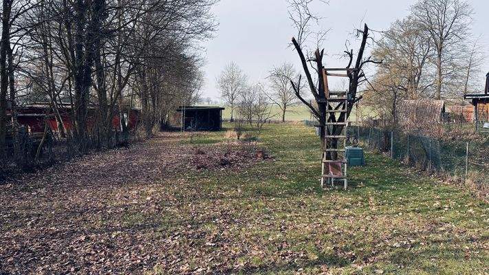 Koppel, bebauungsfähig.jpeg