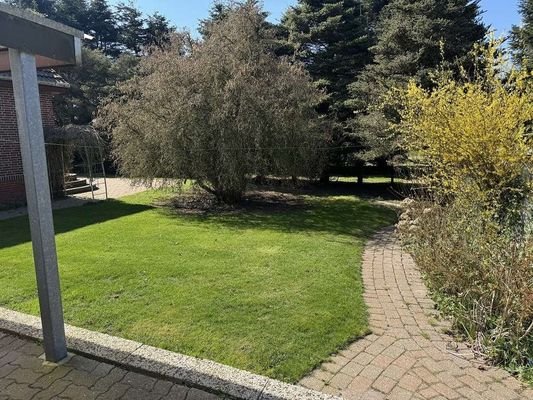 Blick in den Garten