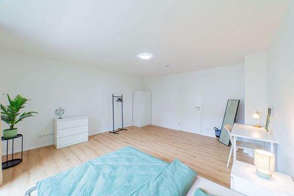 WhatsApp Image 2025-10-12 at 17.00.06