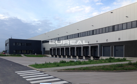 Duisburg Halle, Duisburg Hallenfläche