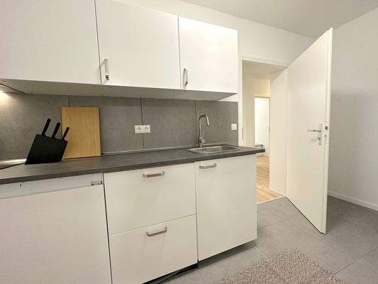 Moderne Küche mit Türen