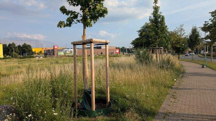 Standpunkt Nordwest_Blickrichtung nach Süd.jpeg