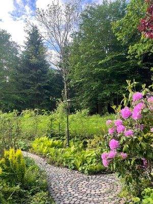 Gartenimpression 3.jpg