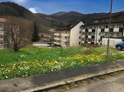 Zell Grundstücke, Zell Grundstück kaufen