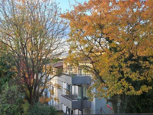 Ansicht von der Alten Renn.Str..jpg