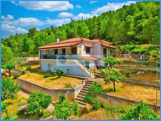 45face33f95c4b7788e2abc689060e48-original