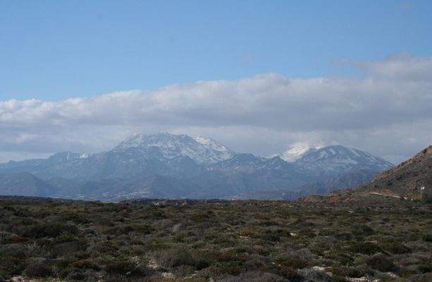 Südostkreta, Kalo Nero: Erstklassiges Baugrundstück direkt am Meer zu verkaufen