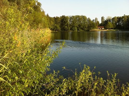 Heidesee in Halbe