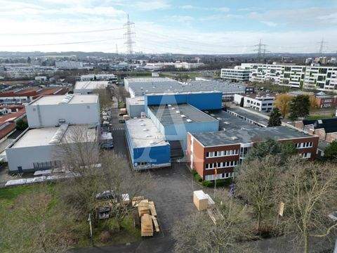 Hürth Halle, Hürth Hallenfläche