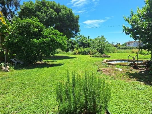 Garten und Freiflächen