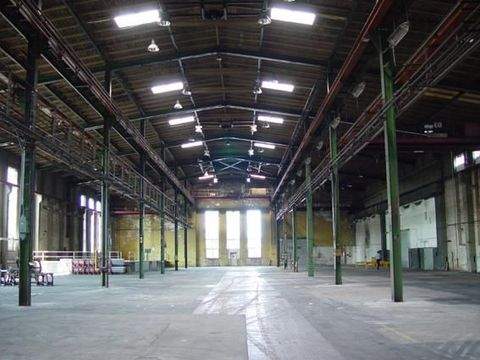 Hannover Halle, Hannover Hallenfläche