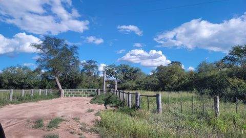 Presidente Hayes Department Bauernhöfe, Landwirtschaft, Presidente Hayes Department Forstwirtschaft