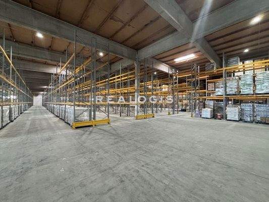 Innenansicht Hallenfläche