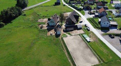 Stallhofen Bauernhöfe, Landwirtschaft, Stallhofen Forstwirtschaft