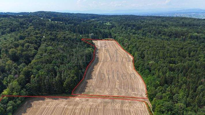 Ansicht 2 mit Grundstückgrenze