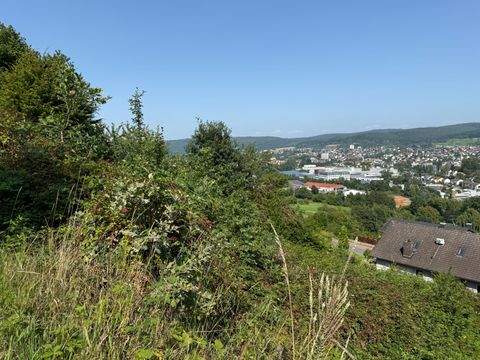 Erbach Grundstücke, Erbach Grundstück kaufen