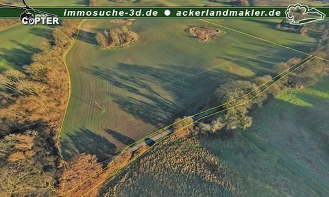 Schloen Bauernhöfe, Landwirtschaft, Schloen Forstwirtschaft