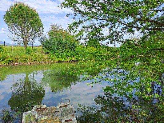 PHOTO-2024-04-29-15-33-35 3.jpg