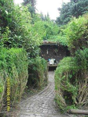 Blick auf das Igelhaus/Schuppe