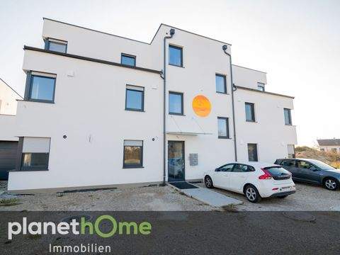 Teesdorf Wohnungen, Teesdorf Wohnung kaufen