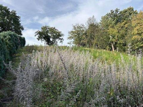 Kreuzau Grundstücke, Kreuzau Grundstück kaufen