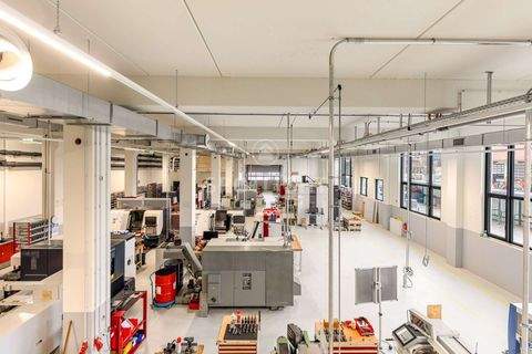 Königsdorf Halle, Königsdorf Hallenfläche