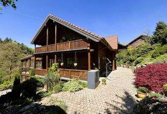 Bild1