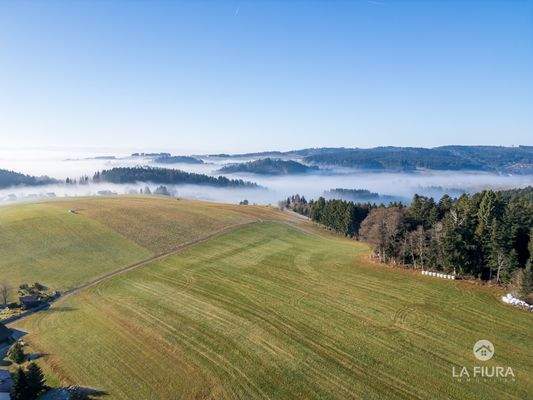 Segeten im Schwarzwald
