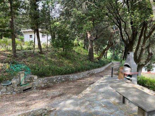 phpThumb_generated_thumbnail (13).jpeg