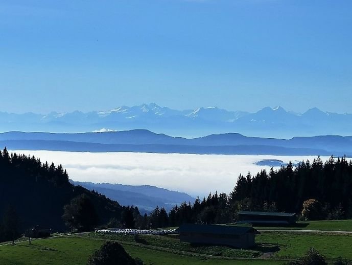 Luxuriöses Anwesen mit sehr viel Platz für Ihre Familie und Freunde im Südschwarzwald!