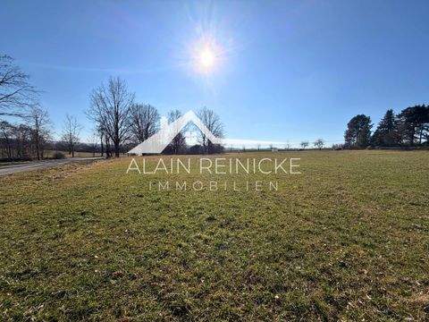 Lichtenwalde Grundstücke, Lichtenwalde Grundstück kaufen