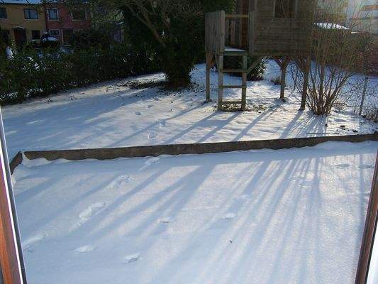 Blick in den Garten.JPG