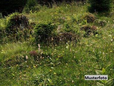 Rust Bauernhöfe, Landwirtschaft, Rust Forstwirtschaft