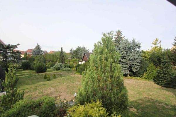 großer gepflegter Garten