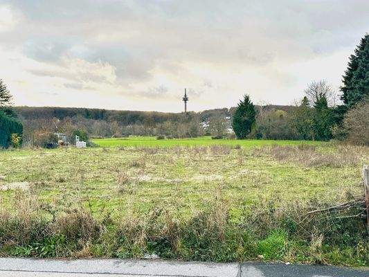 Grundstück-Straßenansicht