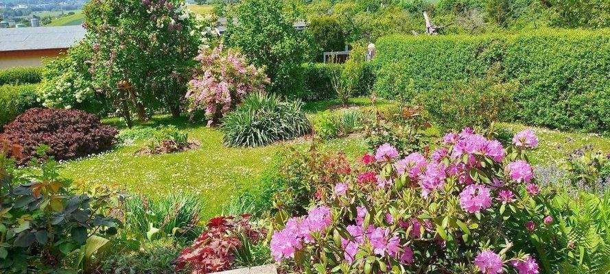 Gartenimpressionen des letzten Jahres (4).JPG