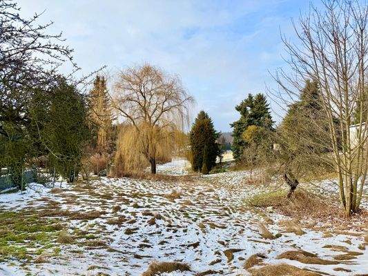 03_Grundstück Vordrerer Teil.jpeg