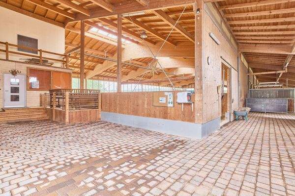 08 Reithalle und Vorplatz.jpg