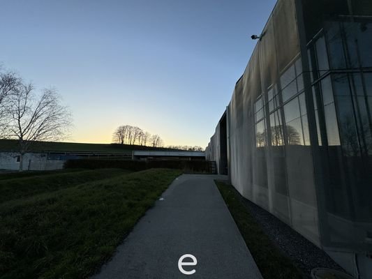 Bild 19