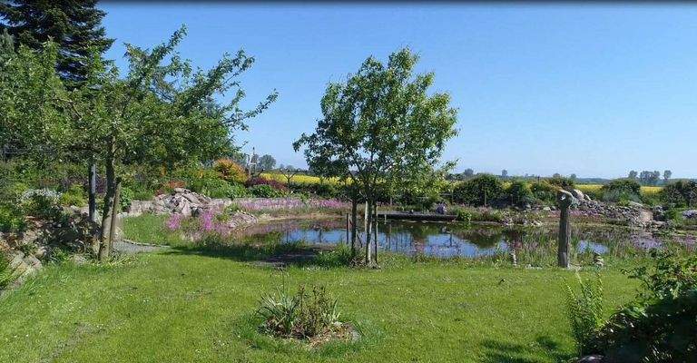 Schwimmteich Bild 2.jpg