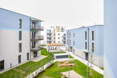 Wiener Neustadt Wohnungen, Wiener Neustadt Wohnung kaufen