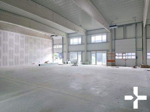 Mönchengladbach Halle, Mönchengladbach Hallenfläche