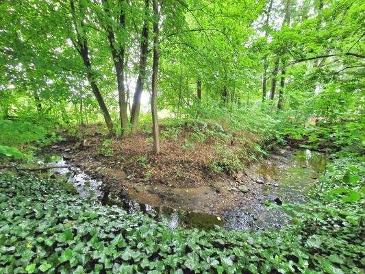 Zugang zum Bächlein