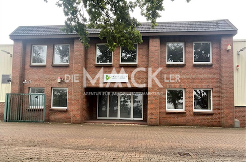 Lüneburg Halle, Lüneburg Hallenfläche